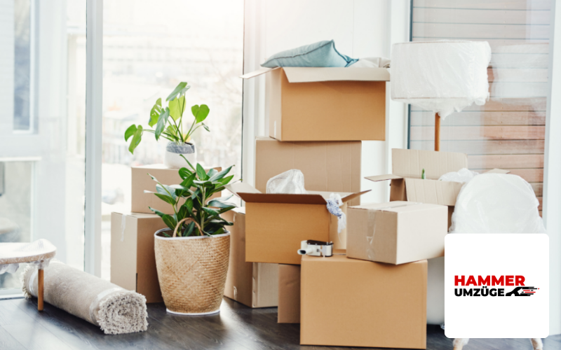 Hammer Umzüge Referenz, Umzugskartons im Haus